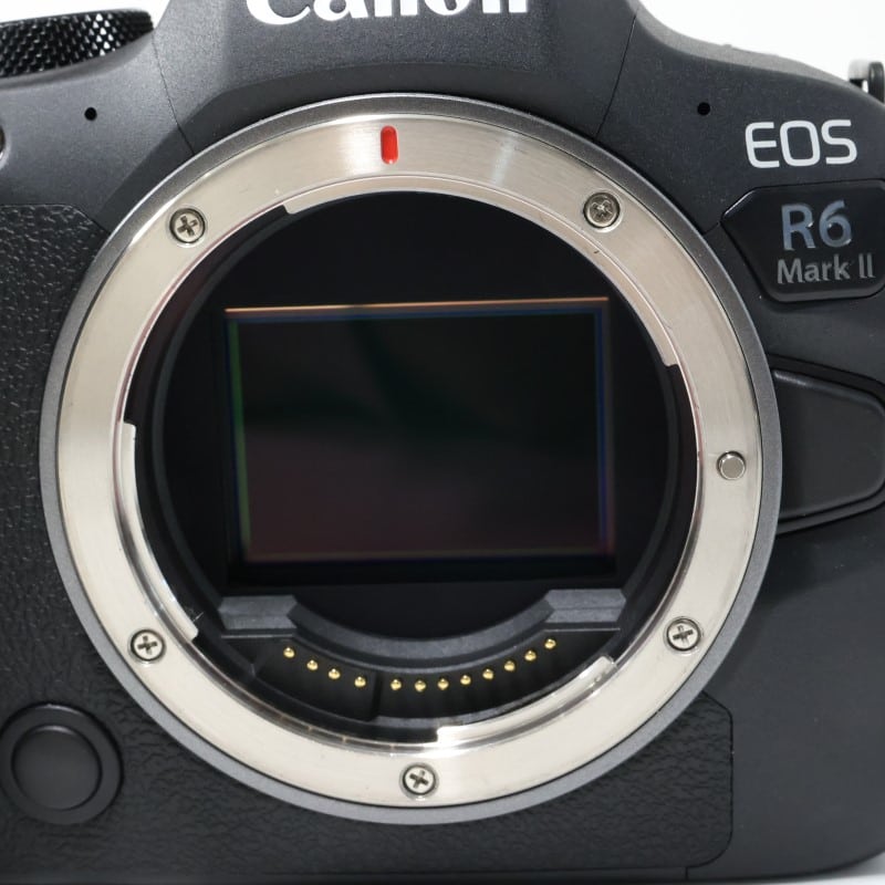 EOS R6 Mark II ボディー