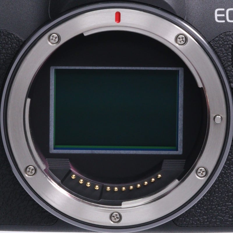 EOS R8 ボディー