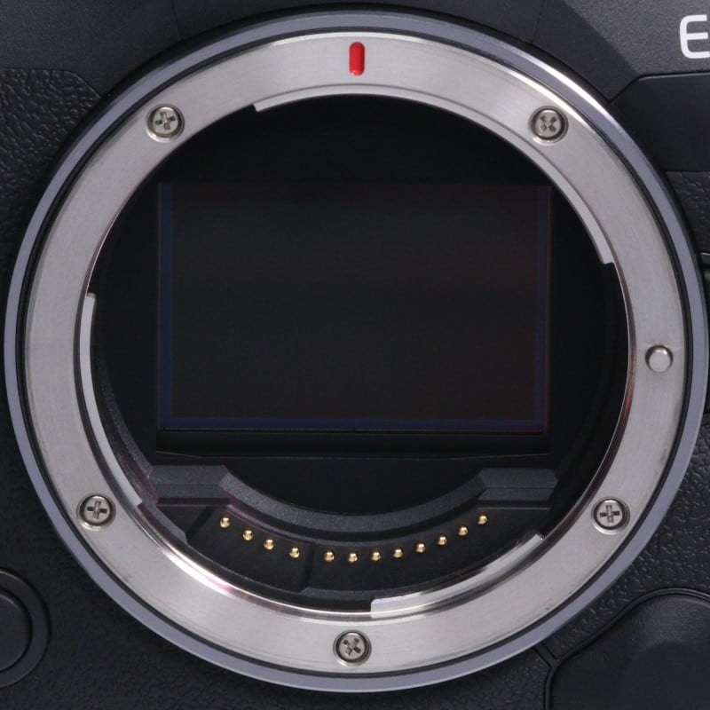 EOS R5 Mark II ボディー