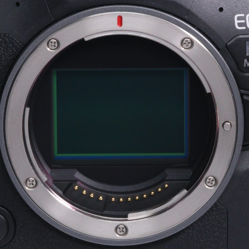EOS R6 Mark II ボディー