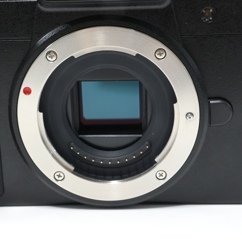 LUMIX G100D ボディ DC-G100D