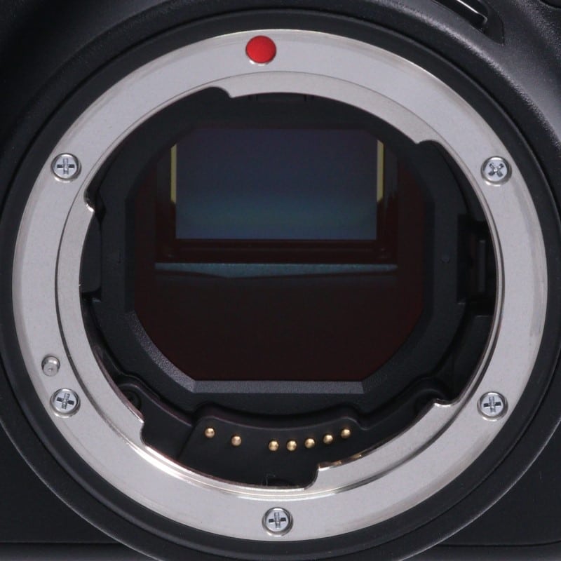 sd Quattro ボディ