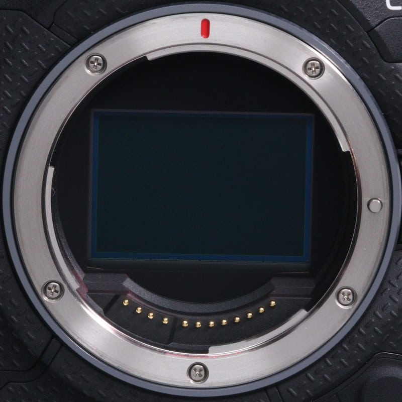 EOS R1 ボディー