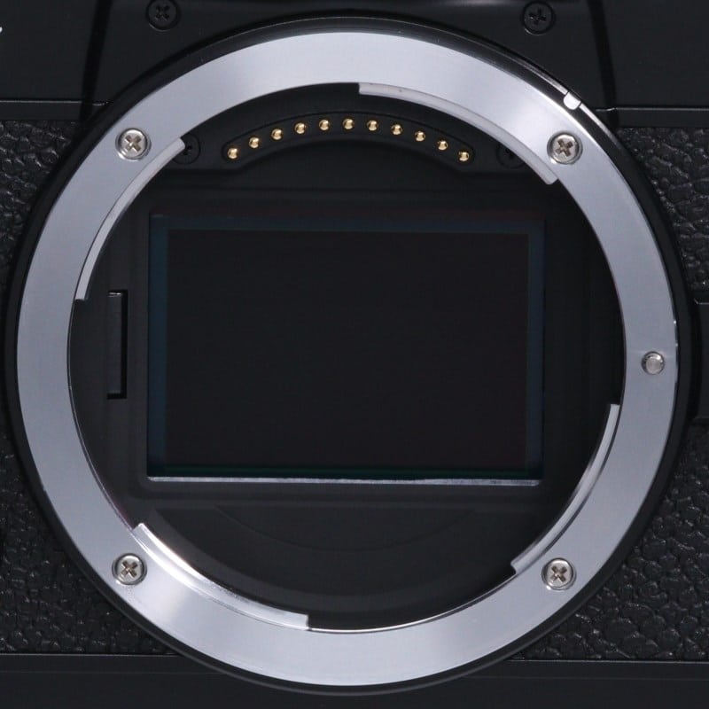 Zf ボディ ブラック