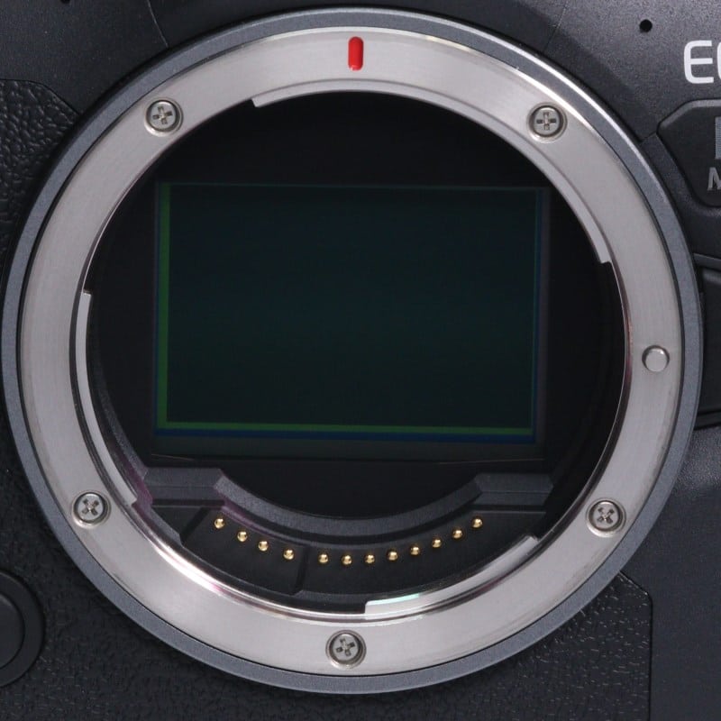 EOS R6 Mark II ボディー