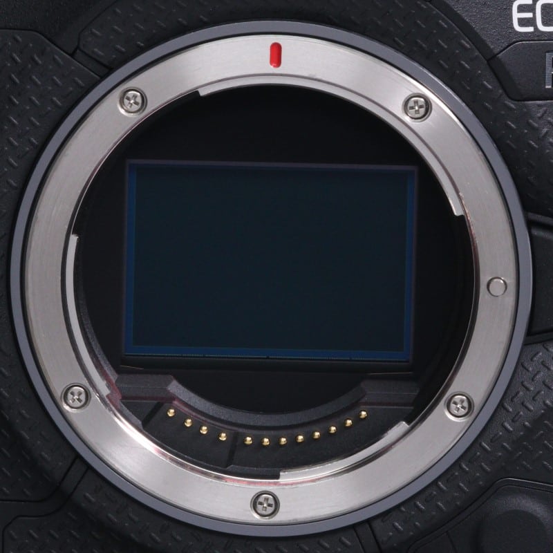EOS R1 ボディー