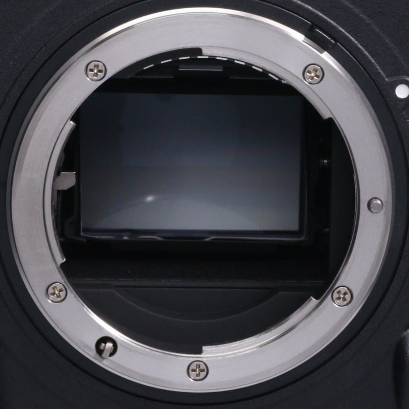 D5 XQD-Type ボディ