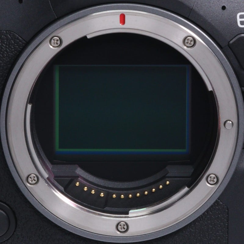 EOS R6 Mark II ボディー