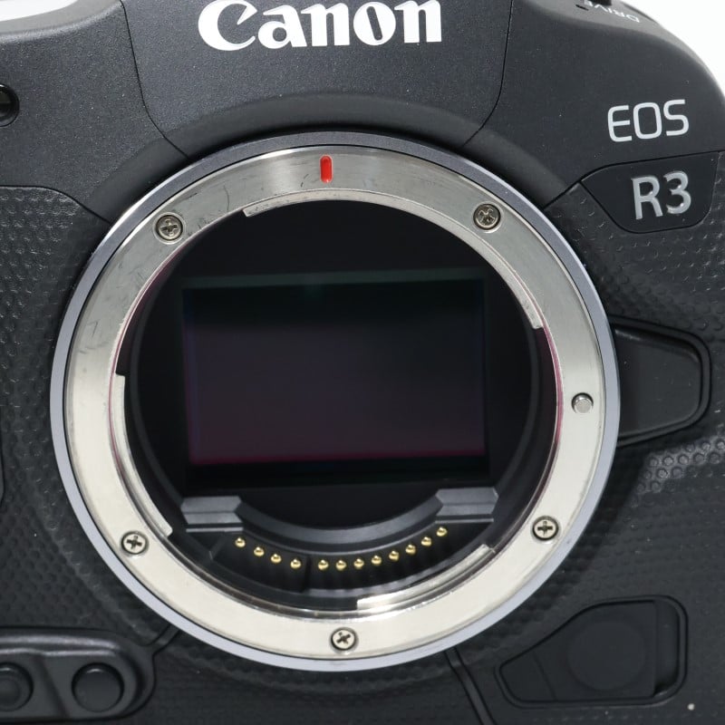 EOS R3 ボディー