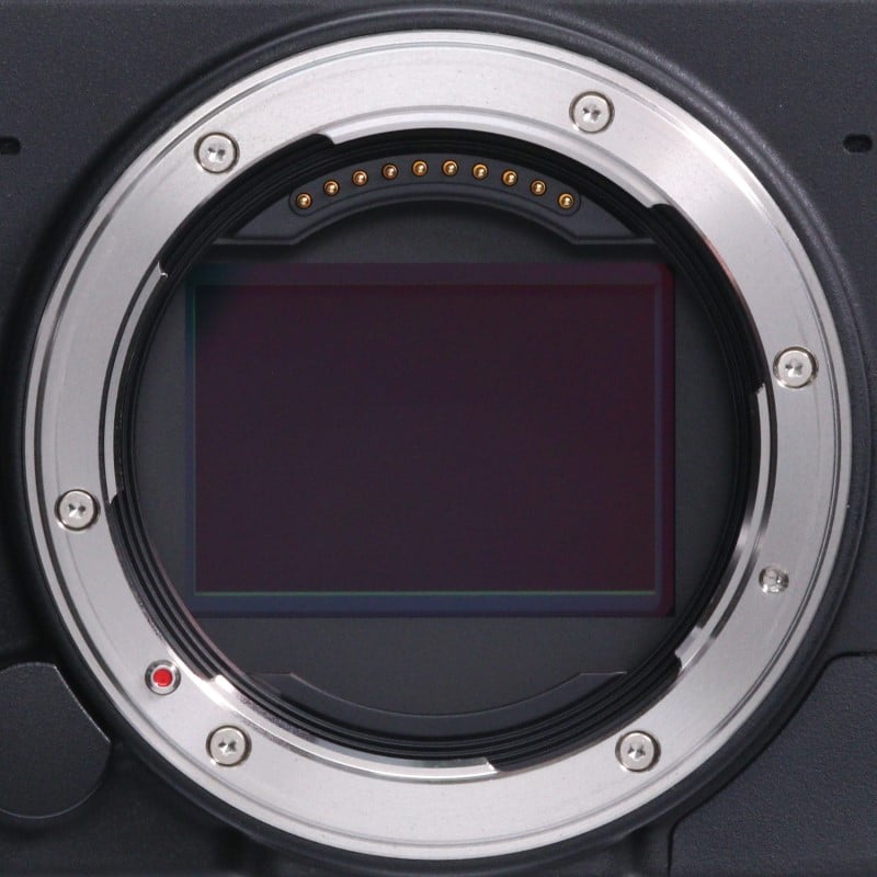 fp L ボディ