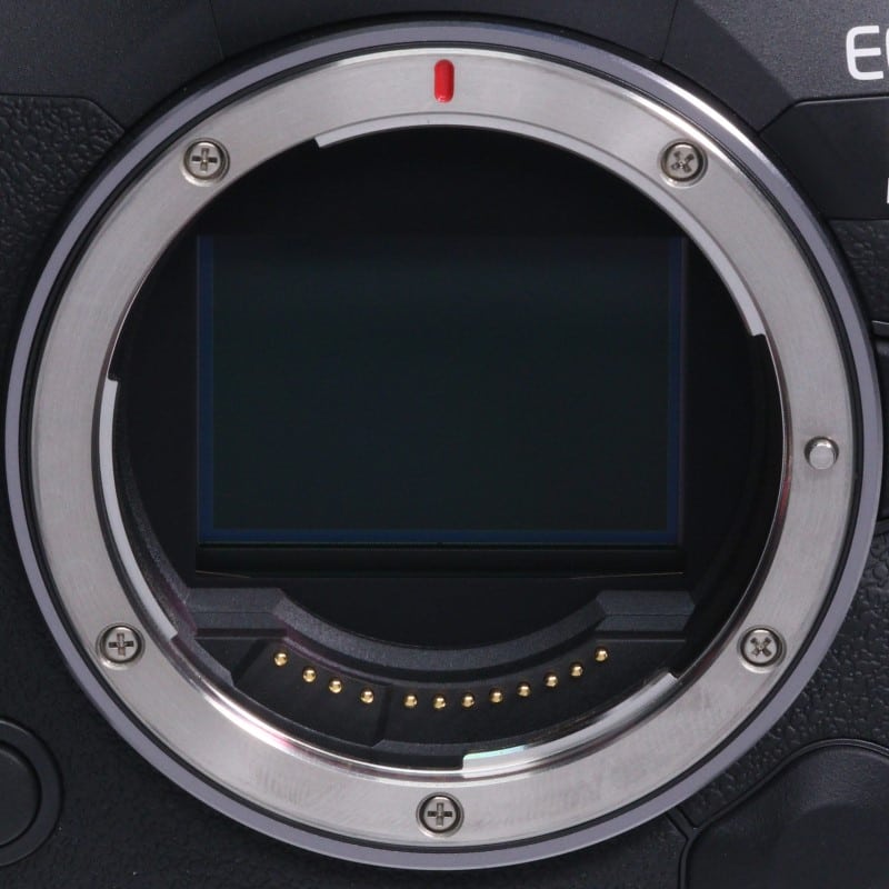 EOS R5 Mark II ボディー