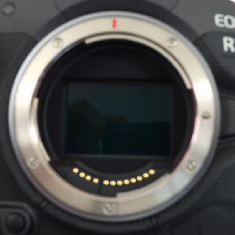 EOS R3 ボディー