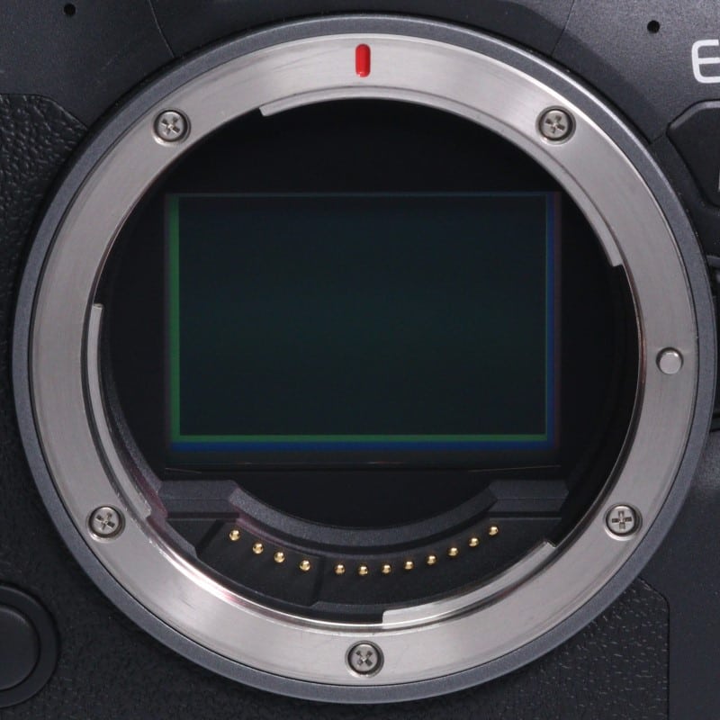 EOS R6 Mark II ボディー