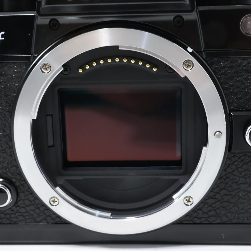 Zf ボディ（ブラック）