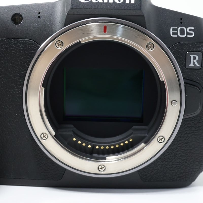 EOS R ボディー