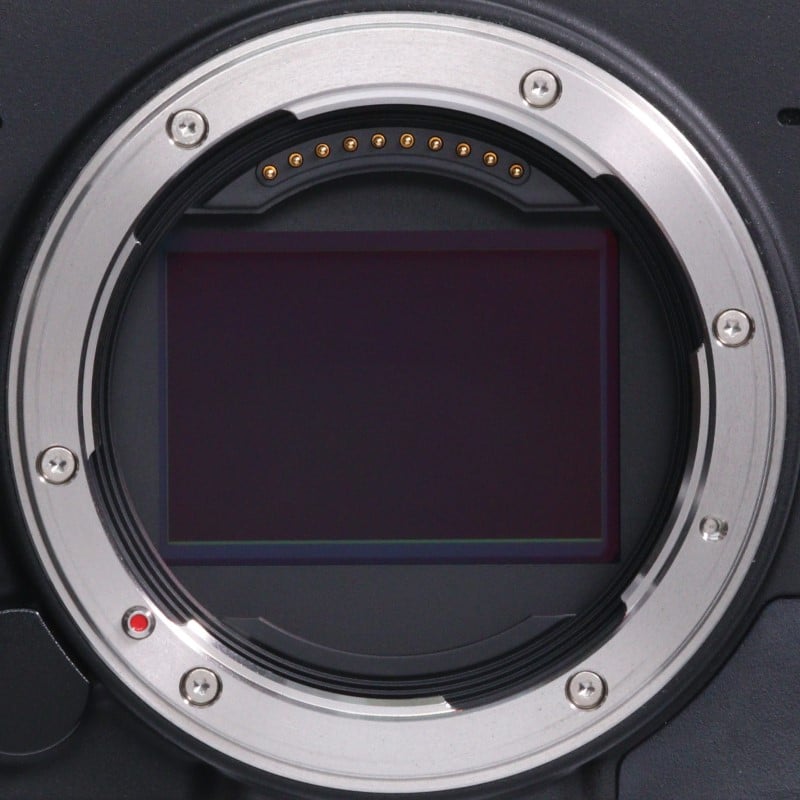 fp L ボディ