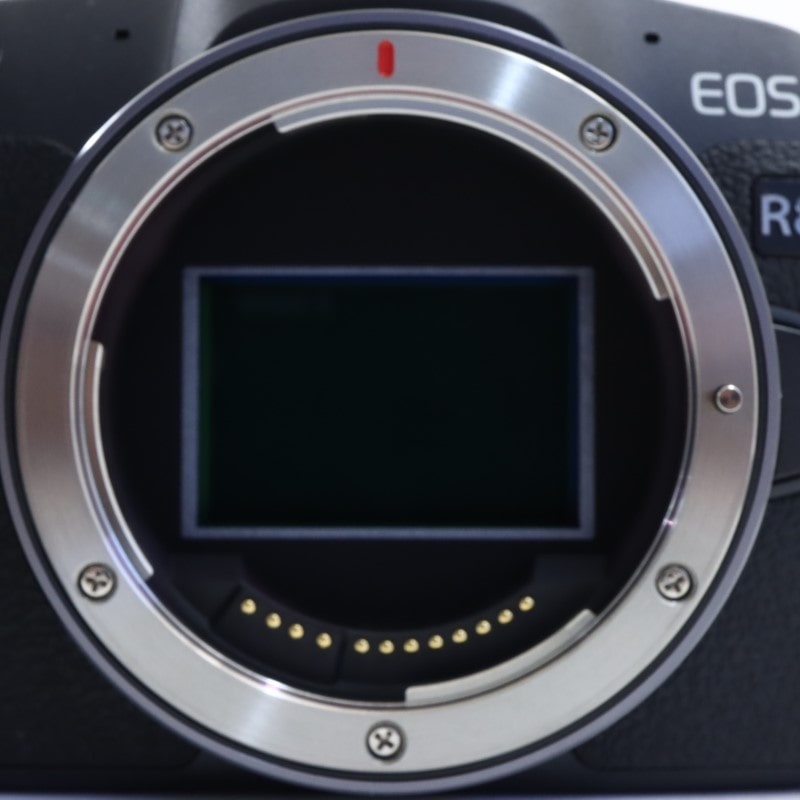 EOS R8