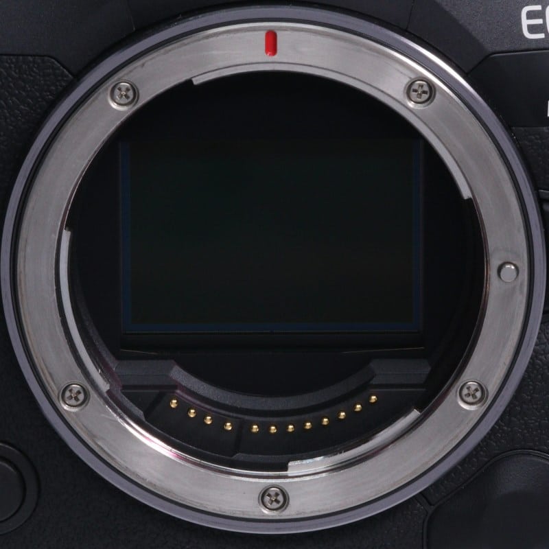 EOS R5 Mark II ボディー