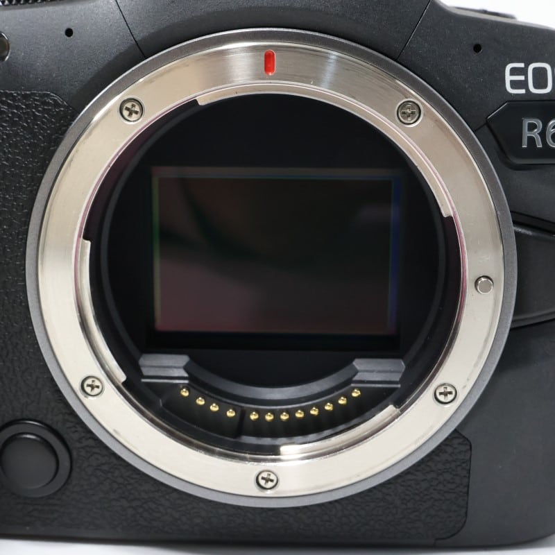 EOS R6 ボディー