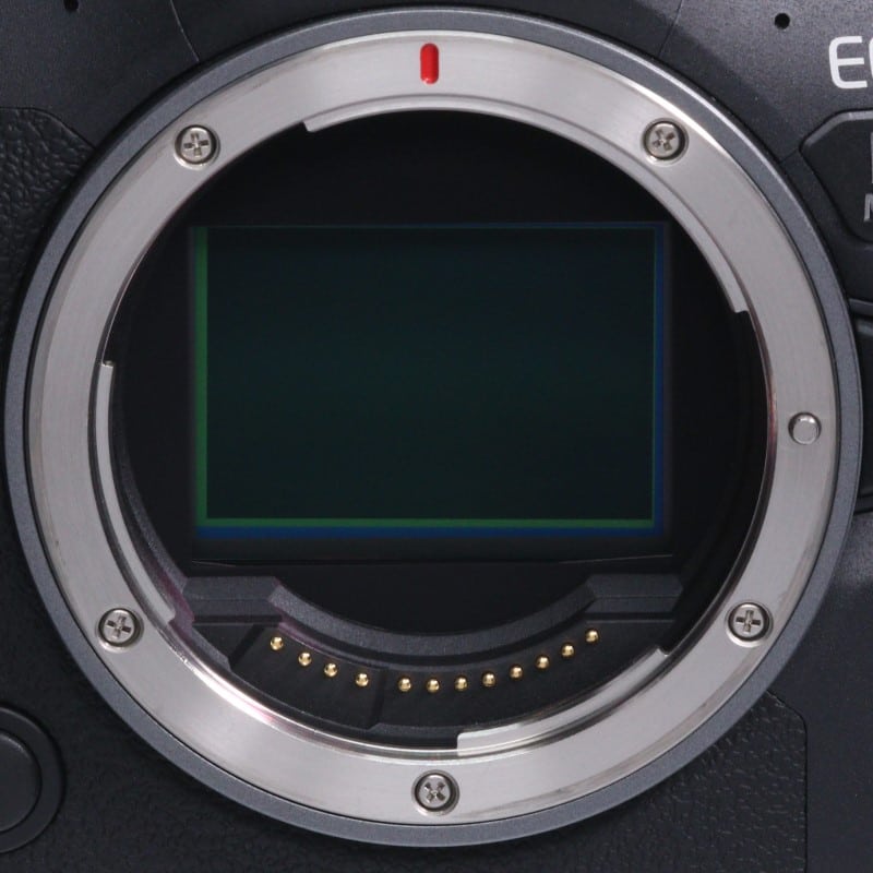 EOS R6 Mark II ボディー