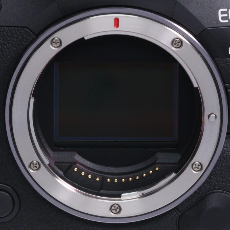 EOS R5 Mark II ボディー