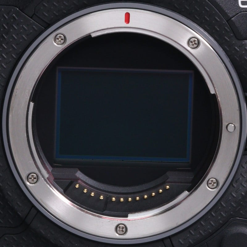 EOS R1 ボディー
