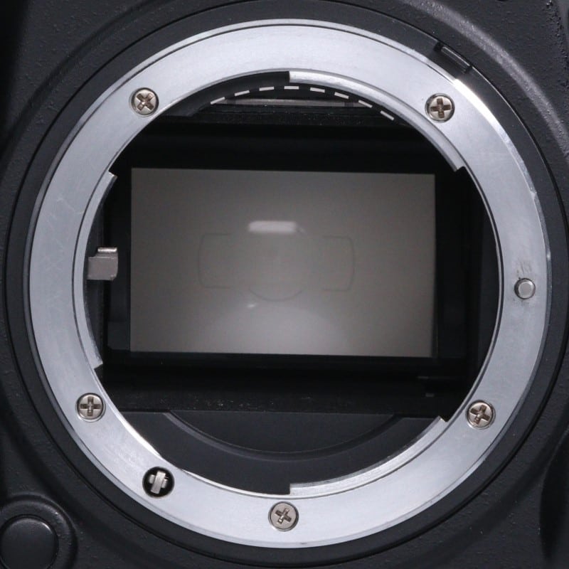 D610 ボディ