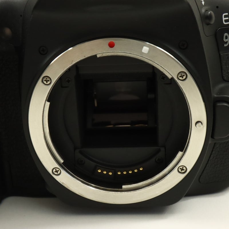 EOS 90D ボディー