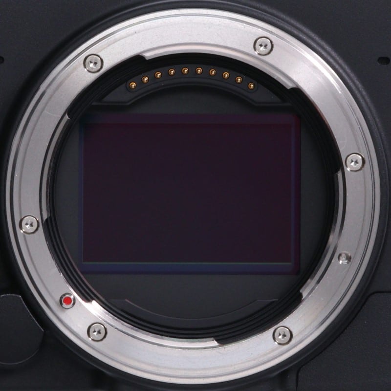 fp L ボディ