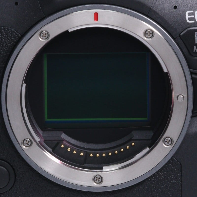 EOS R6 Mark II ボディー