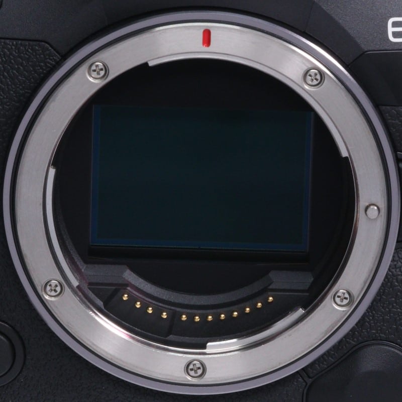 EOS R5 Mark II ボディー