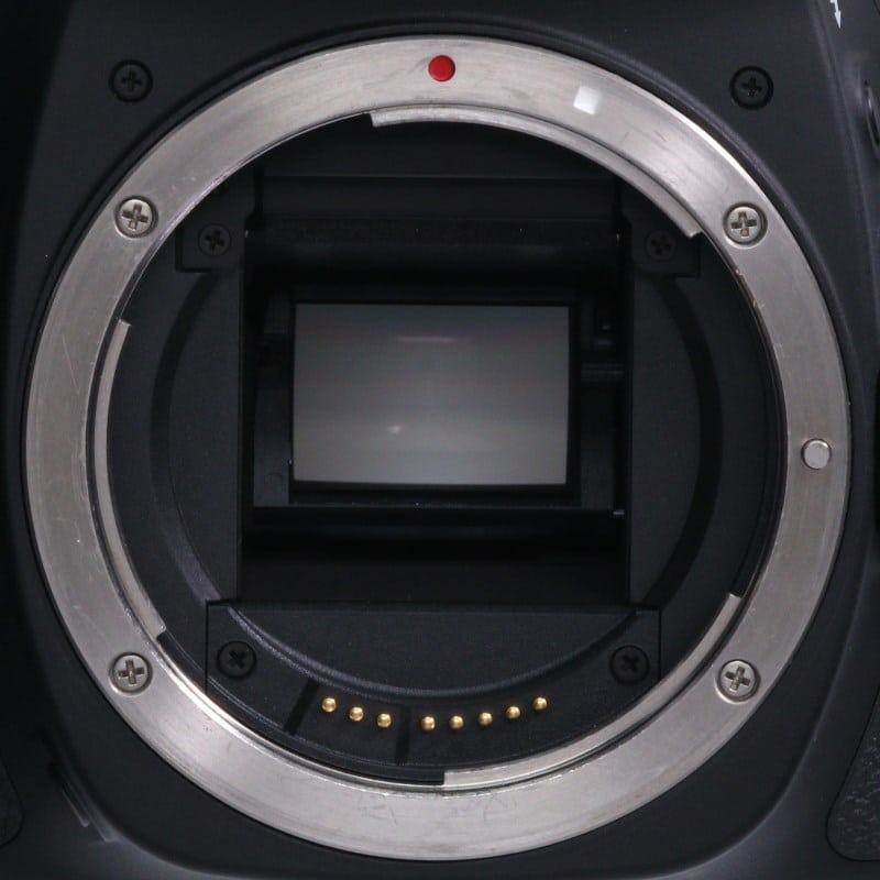 EOS 80D ボディー