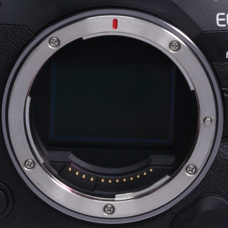 EOS R5 Mark II ボディー
