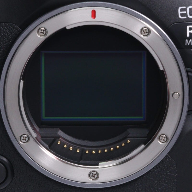 EOS R6 Mark III ボディー
