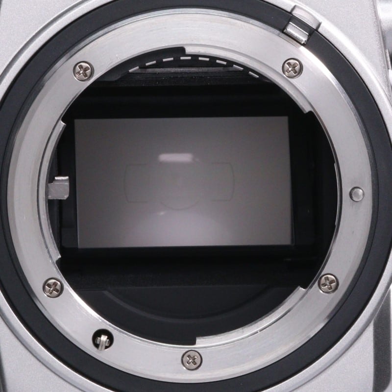 Df ボディ シルバー