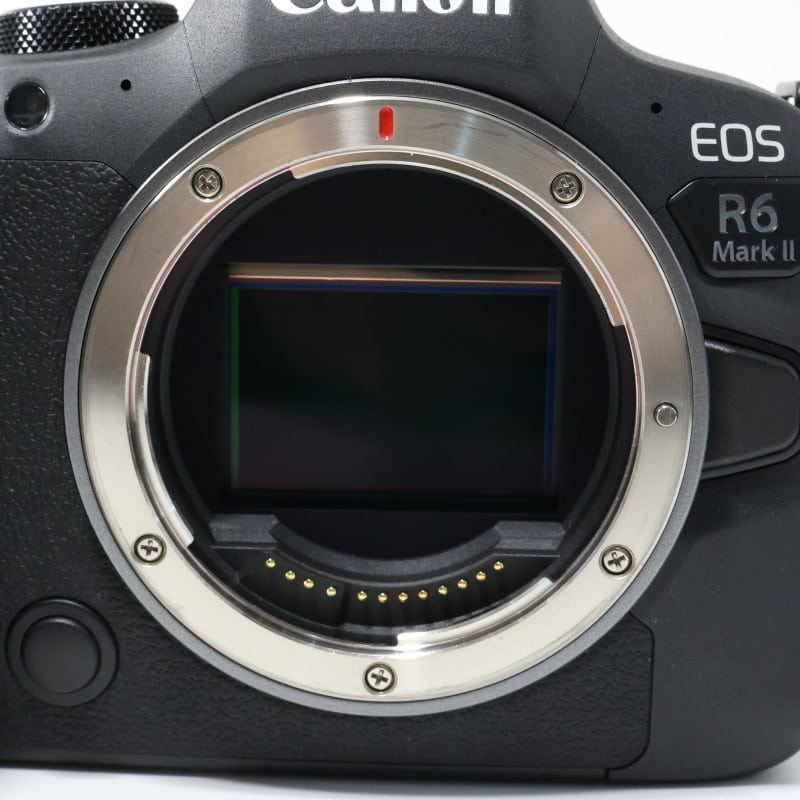 EOS R6 Mark II ボディー