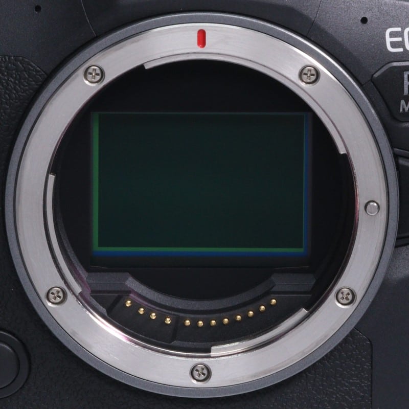 EOS R6 Mark II ボディー