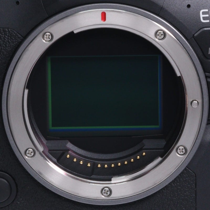 EOS R6 Mark II ボディー