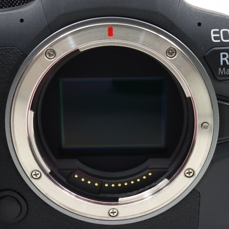 EOS R6 Mark II ボディー