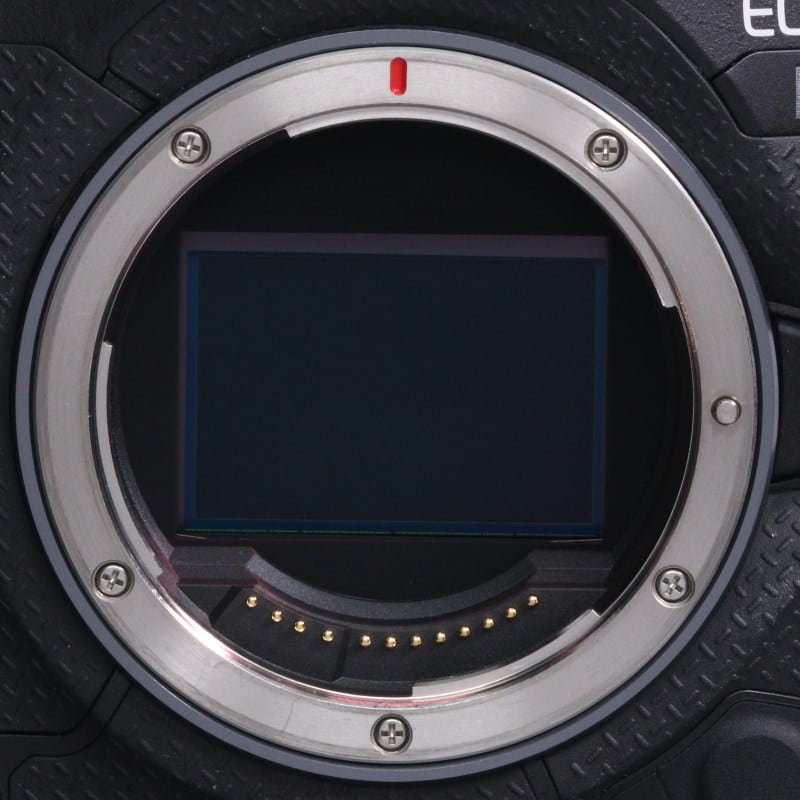 EOS R1 ボディー