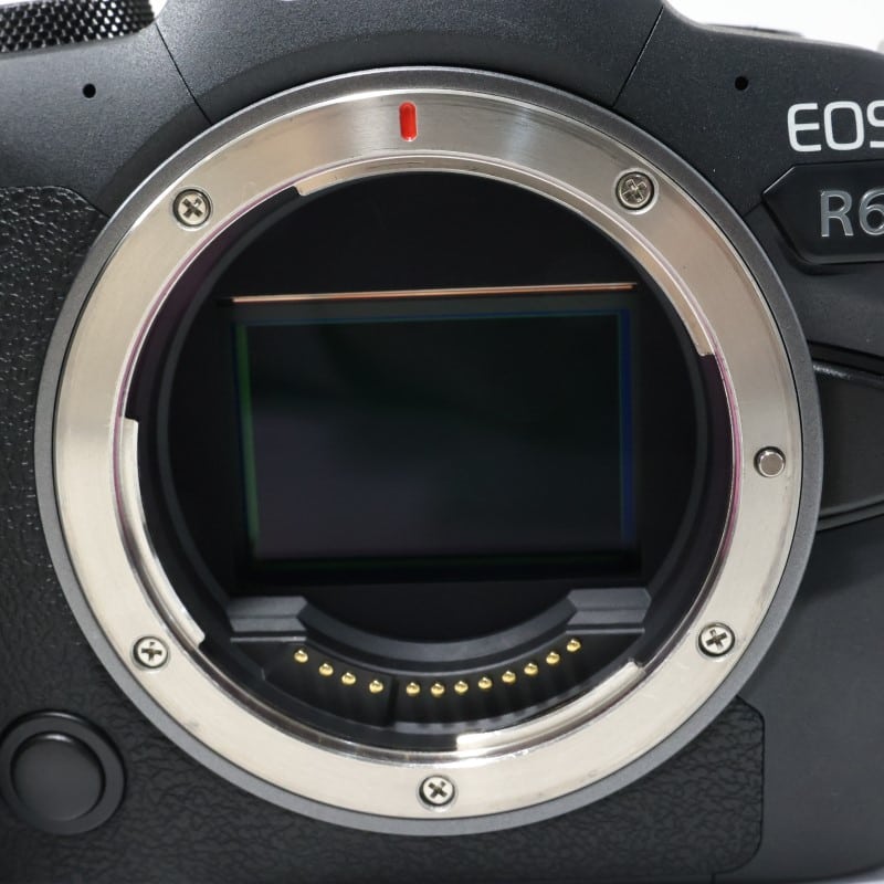 EOS R6 ボディー