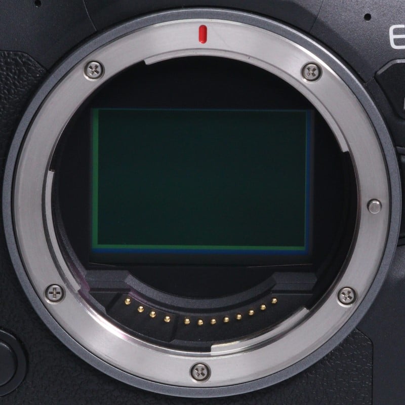 EOS R6 Mark II ボディー