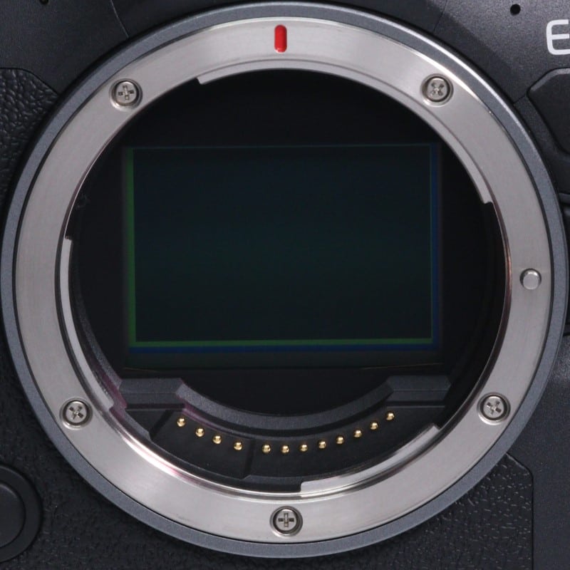 EOS R6 Mark II ボディー