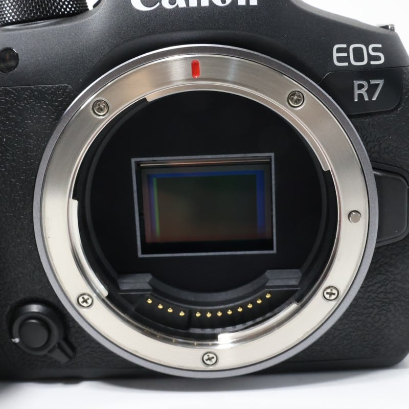 EOS R7 ボディー