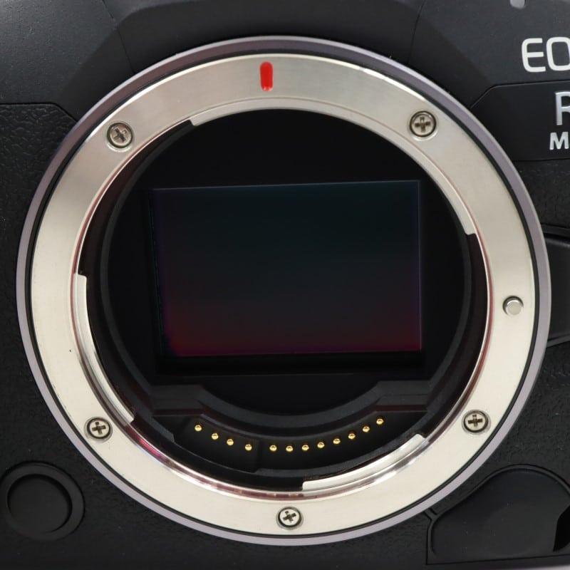 EOS R5 Mark II ボディー