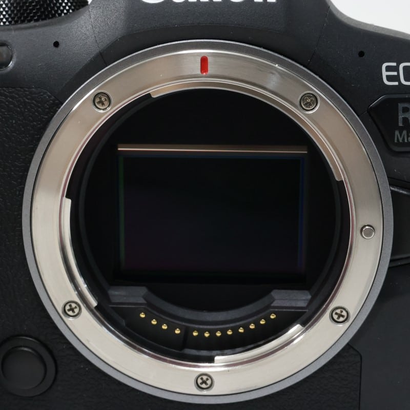 EOS R6 Mark II ボディー