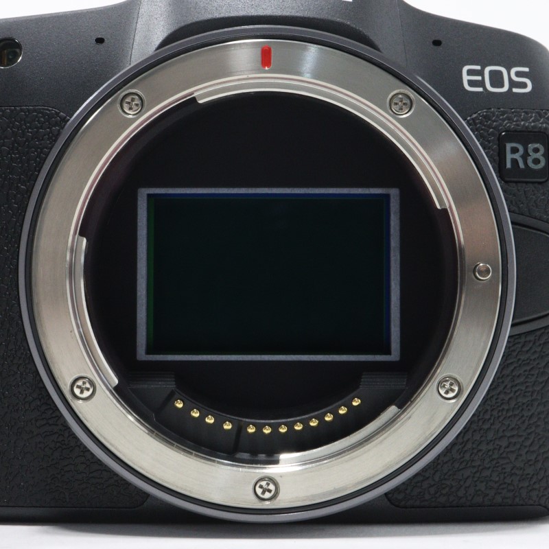  (キヤノン) Canon EOS R8 ﾎﾞﾃﾞｲ ランク：AB