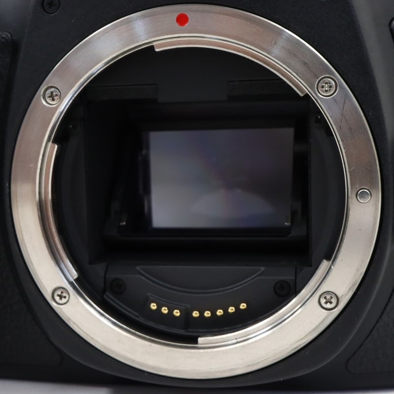 EOS 6D Mark II ボディー