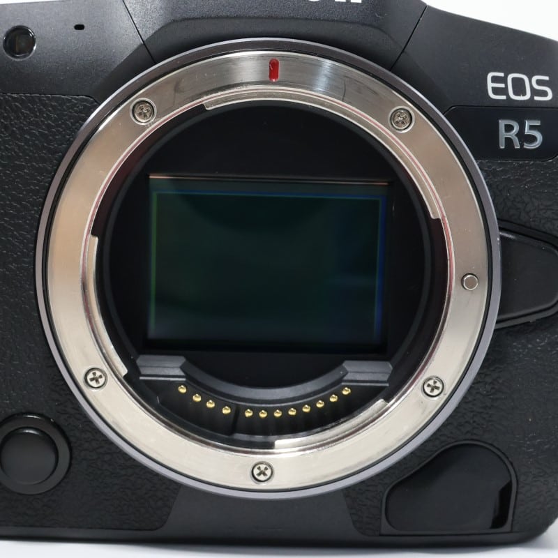 EOS R5 ボディー