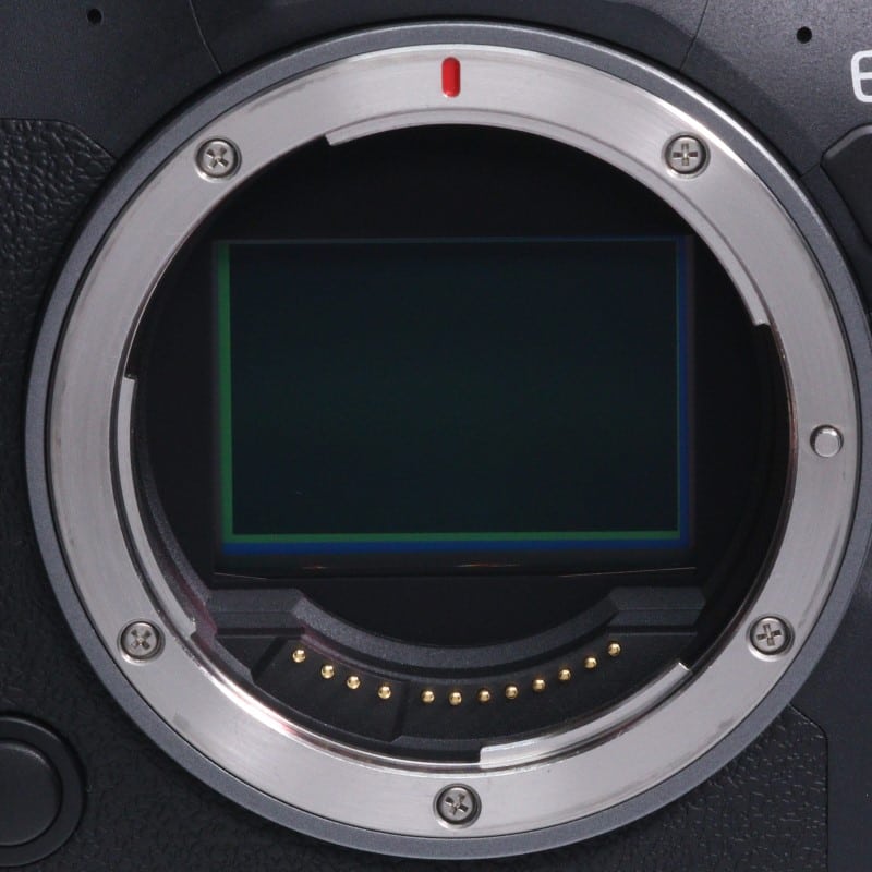 EOS R6 Mark II ボディー